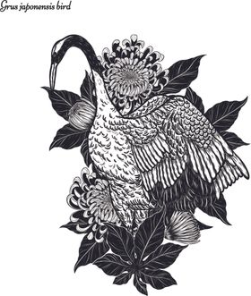 纯色绘画植物花朵