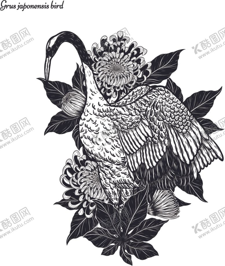 编号：34244610170307094658【酷图网】源文件下载-纯色绘画植物花朵