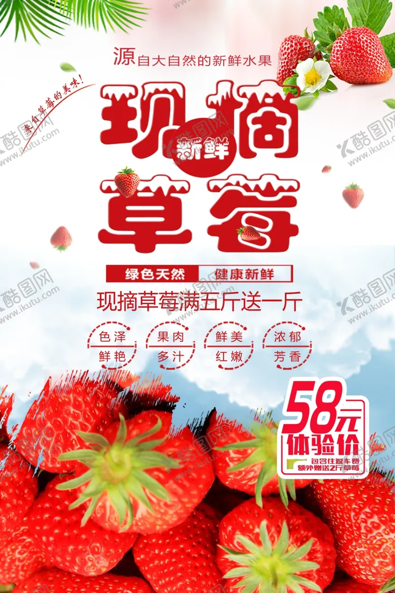 编号：71742112020152112106【酷图网】源文件下载-现摘草莓