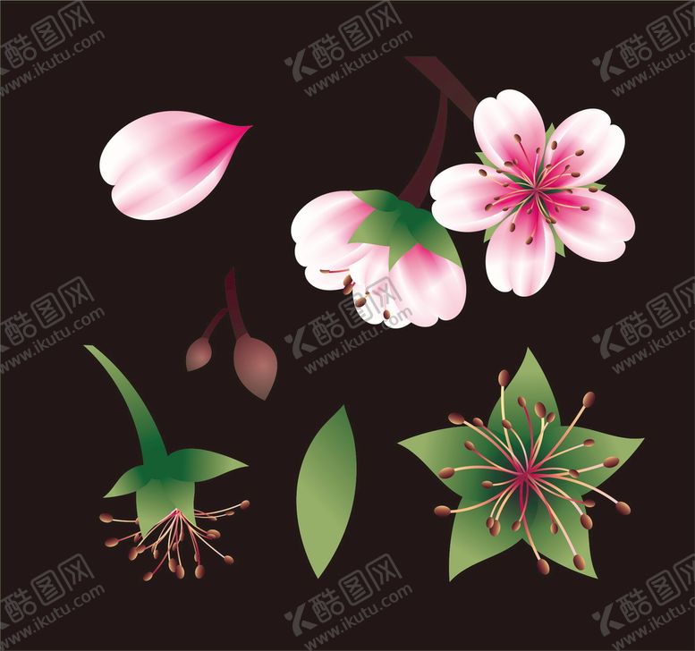 编号：31625009281612422853【酷图网】源文件下载-矢量桃花