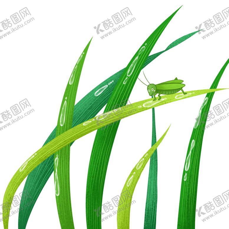 编号：43637101260349411015【酷图网】源文件下载-昆虫在带有露珠的青草上