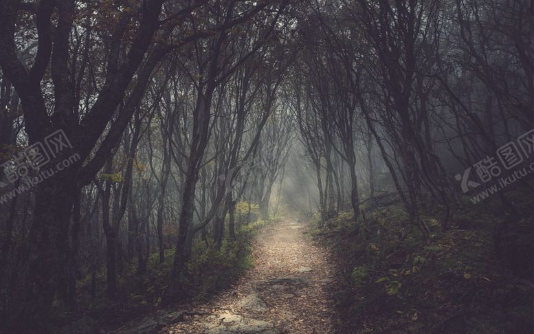 编号：40716409230234223096【酷图网】源文件下载-森林