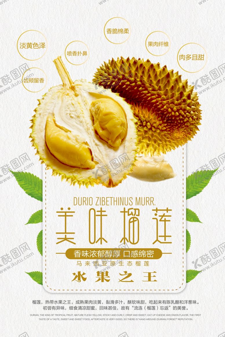 编号：19445806231547097687【酷图网】源文件下载-榴莲海报