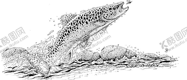 编号：68504209142105387899【酷图网】源文件下载-水花免扣