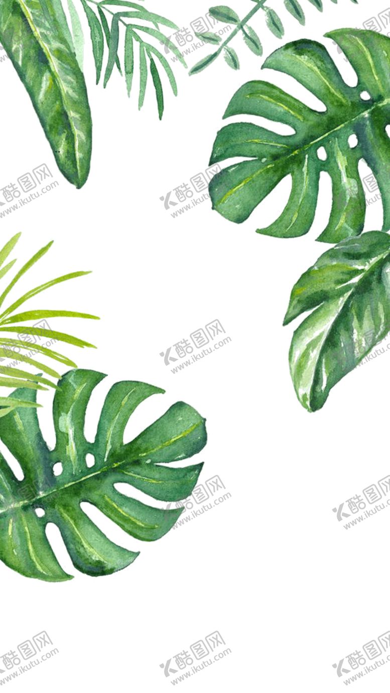 编号：36603005021230465743【酷图网】源文件下载-芭蕉叶热带