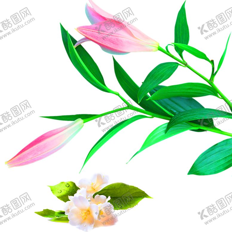 编号：59784409281117265670【酷图网】源文件下载-浪漫素材