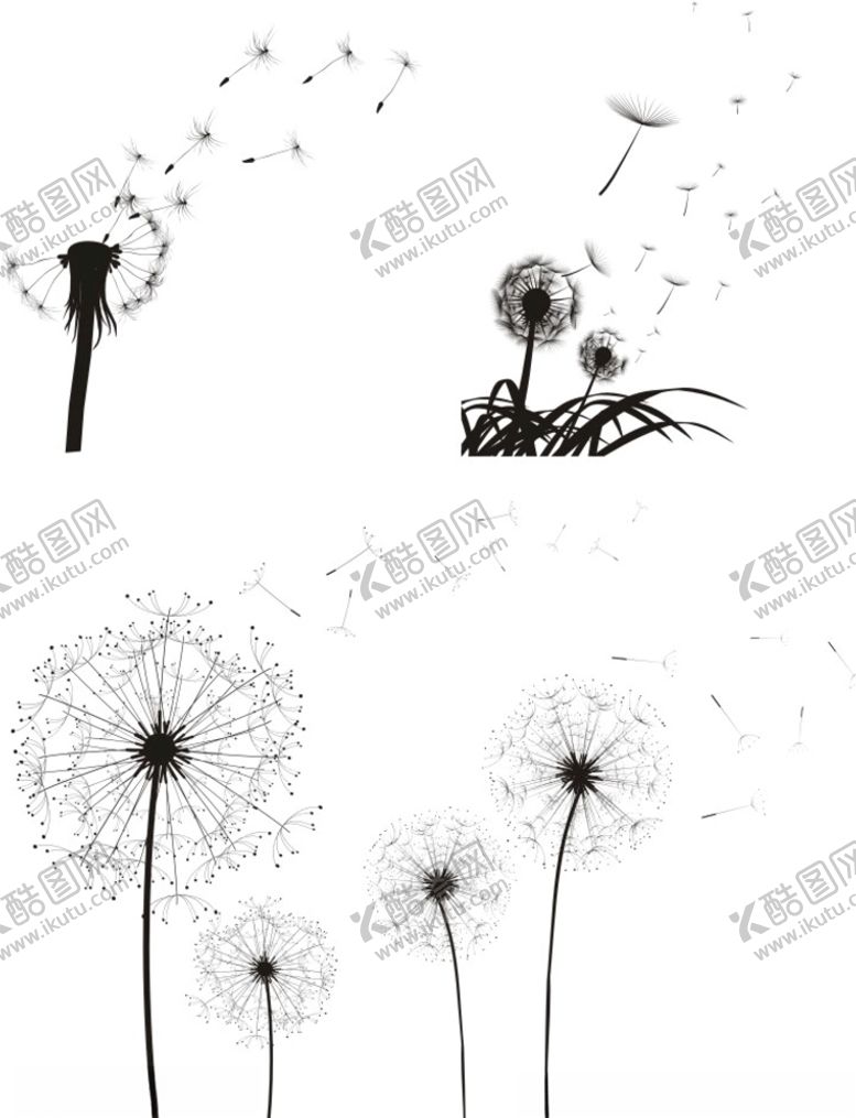 编号：33948606180013107000【酷图网】源文件下载-蒲公英