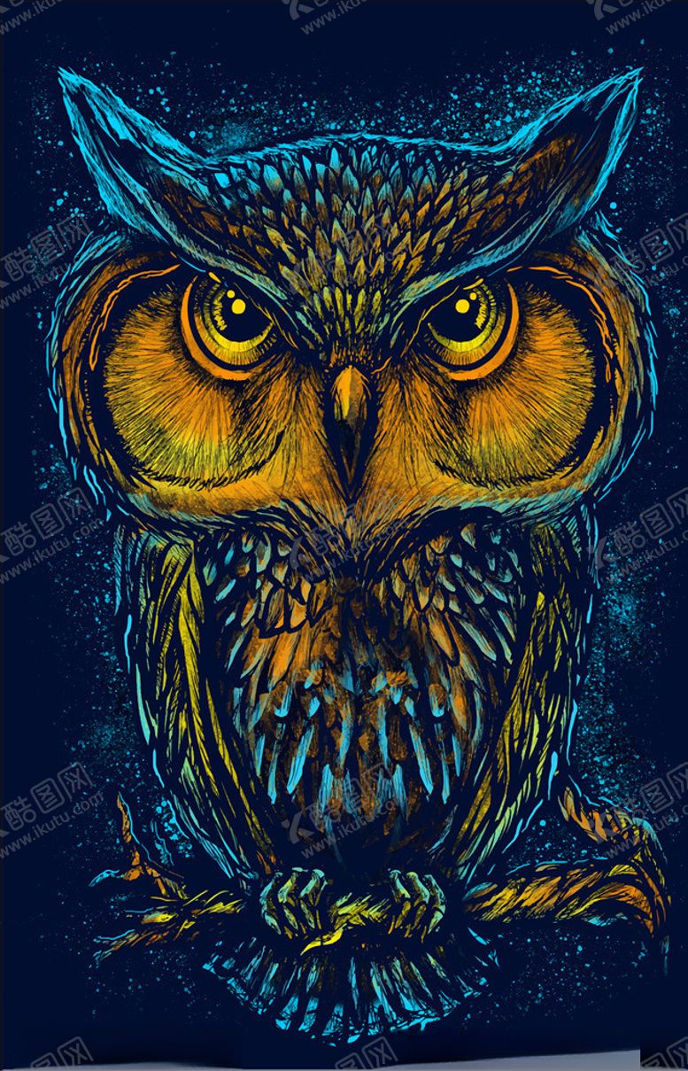 编号：53587709110517139074【酷图网】源文件下载-猫头鹰