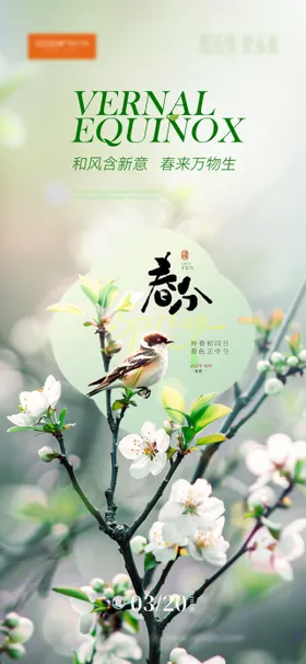 春分节气海报