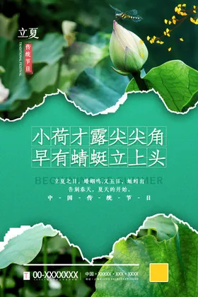 立夏至地产荷花