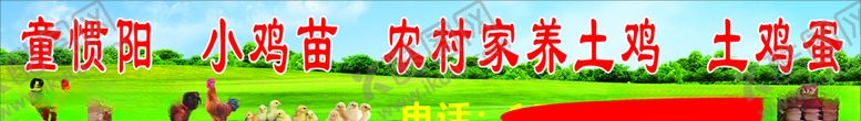 编号：62584509182035122249【酷图网】源文件下载-土鸡