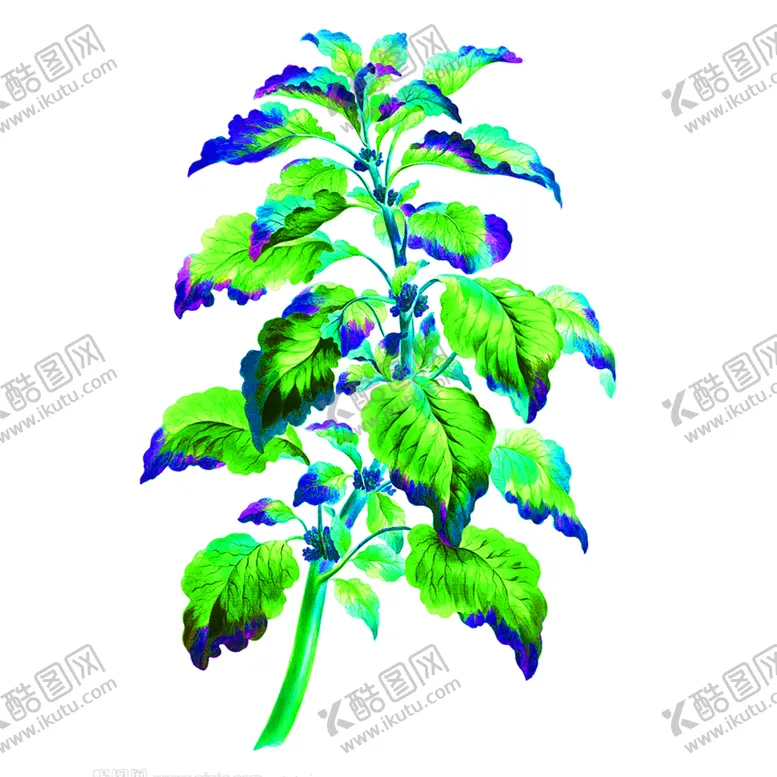 编号：53387306240916222899【酷图网】源文件下载-花素材