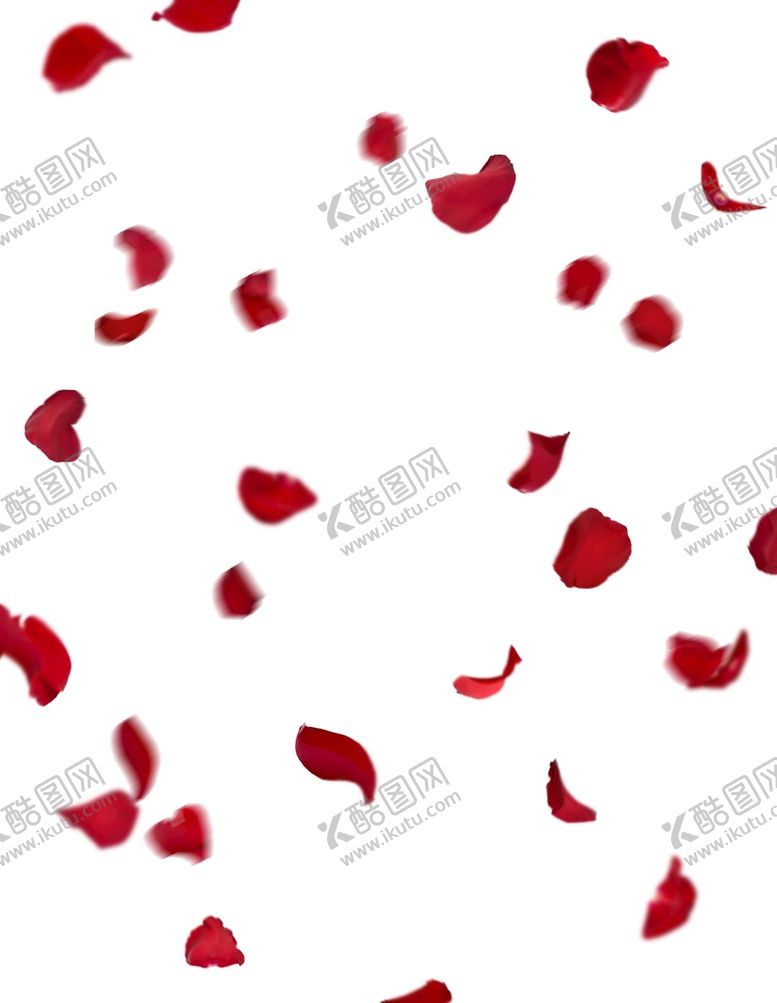 编号：11581110201404577653【酷图网】源文件下载-玫瑰花 