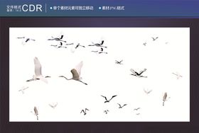 飞鸟群