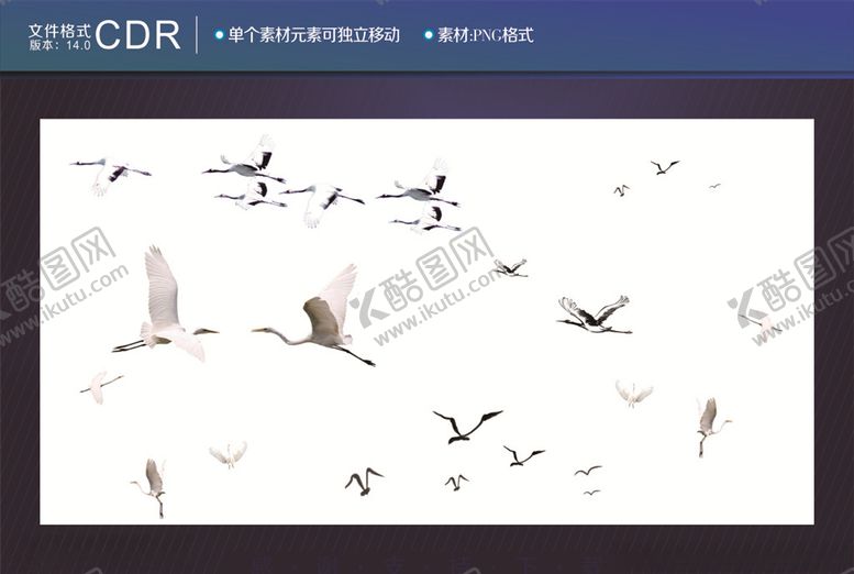 编号：83739707012133141714【酷图网】源文件下载-飞鸟群