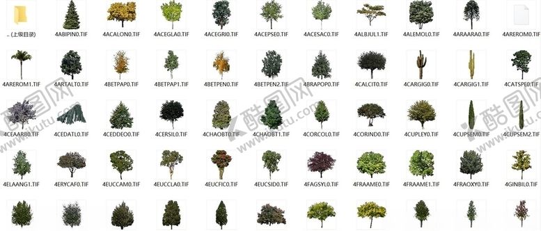 编号：15419610132121115720【酷图网】源文件下载-193款后期植物