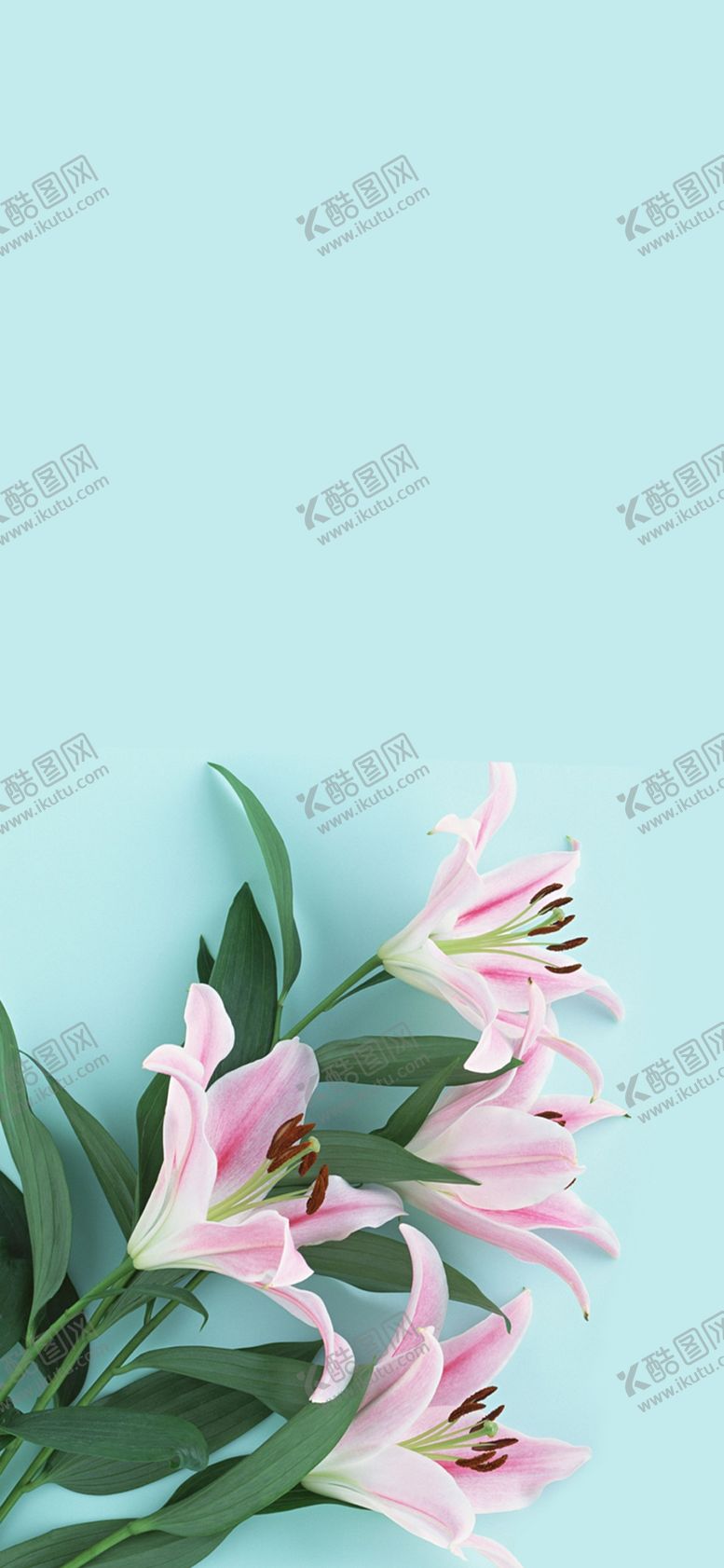 编号：48149009261846575443【酷图网】源文件下载-手机壁纸