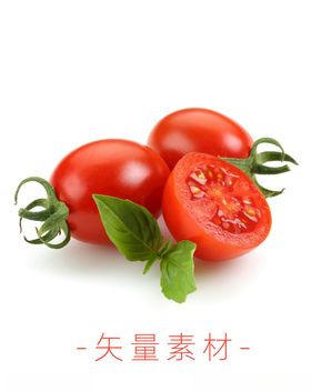圣女果小番茄包装箱礼盒