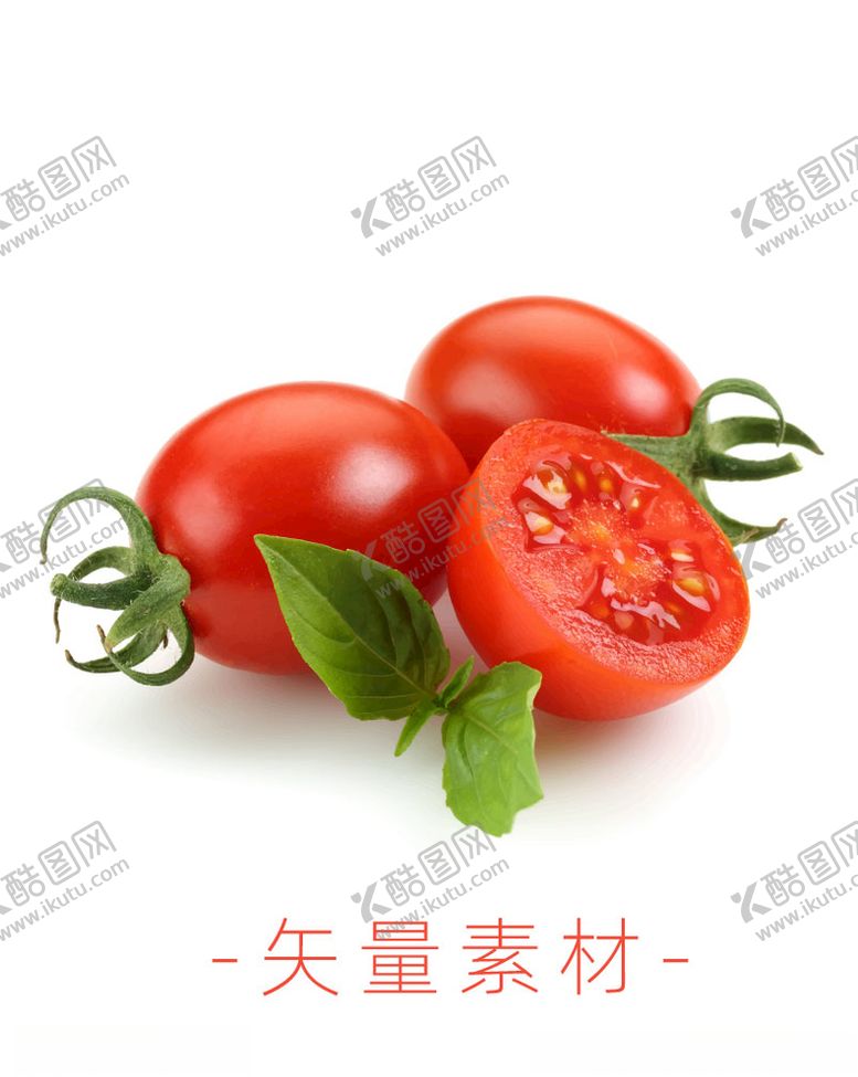 编号：83680810220935229878【酷图网】源文件下载-番茄西红柿圣女果