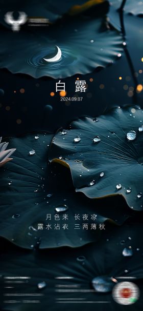 白露节气移动端海报