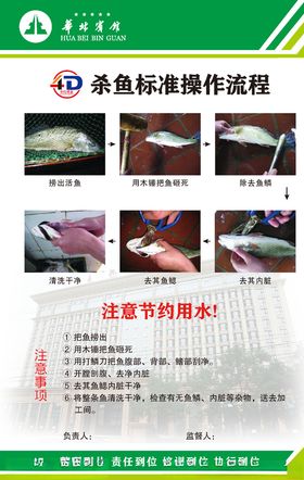 杀鱼标准操作流程
