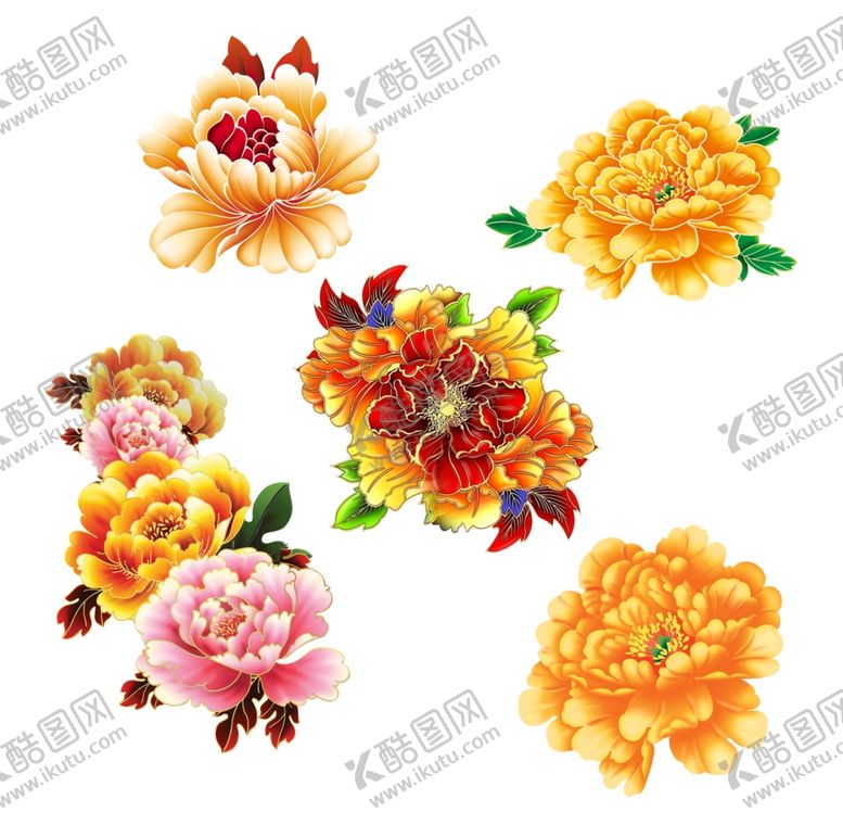 编号：79927509161115573569【酷图网】源文件下载-牡丹花素材