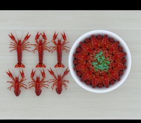 龙虾3D模型