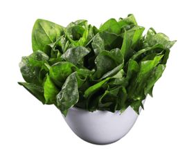 一盆菠菜免扣图