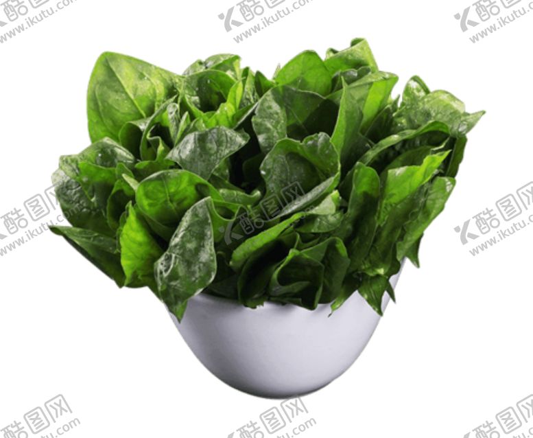 编号：29344710290527282381【酷图网】源文件下载-一盆菠菜免扣图