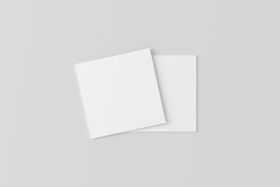 卡片名片样机展示模板logo高级