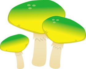 绿色相框