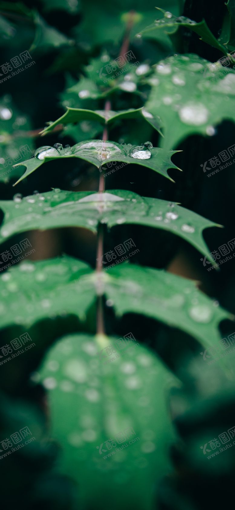 编号：46176509221147407816【酷图网】源文件下载-手机壁纸