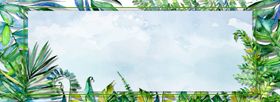 清新夏季植物促销海报