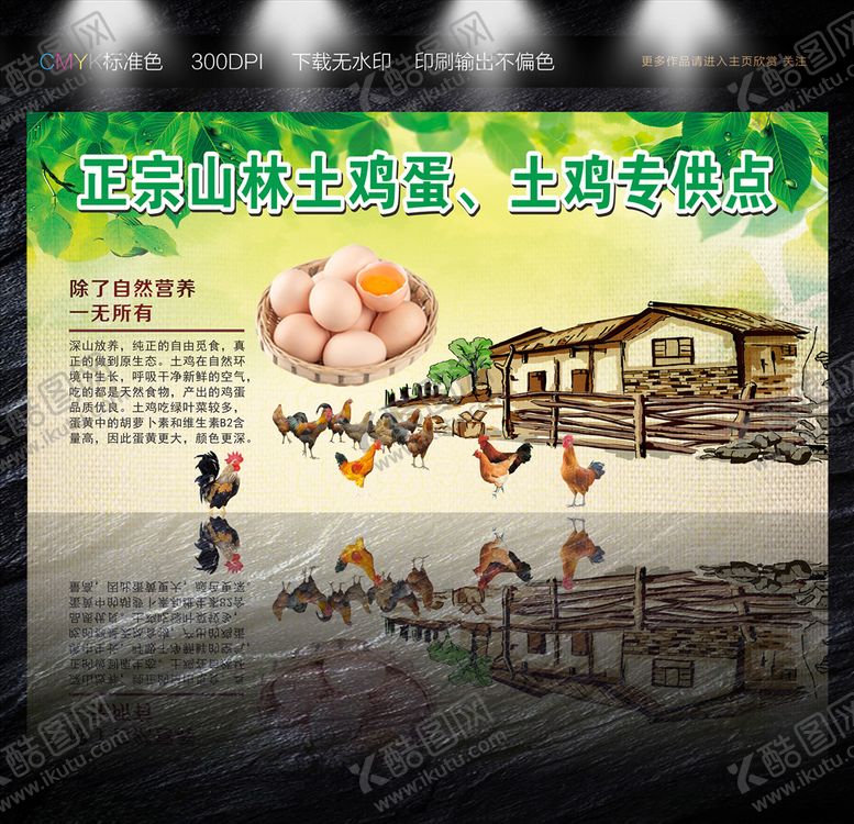 编号：71723510310957187252【酷图网】源文件下载-土鸡蛋海报