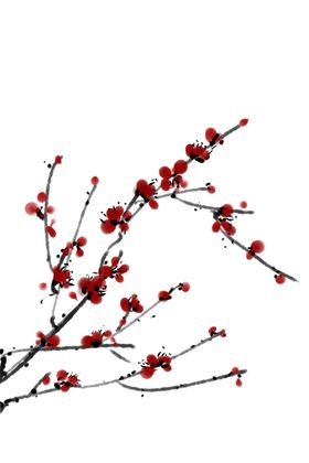 梅花素材