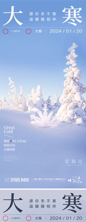 大寒小寒小雪大雪系列海报