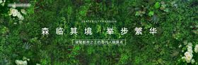 地产项目绿植围墙绿色