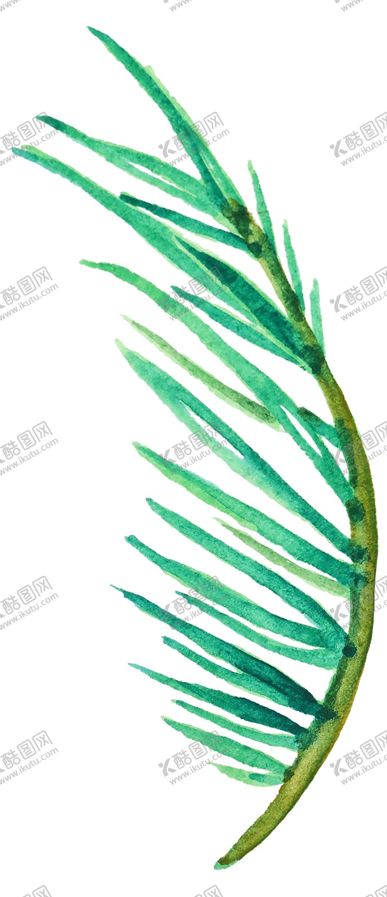 编号：69570110060521195487【酷图网】源文件下载-清新水彩植物树叶插画