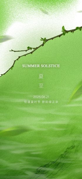 夏至节气海报