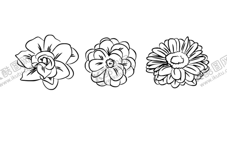 编号：64561501121900164317【酷图网】源文件下载-花朵素描简笔画