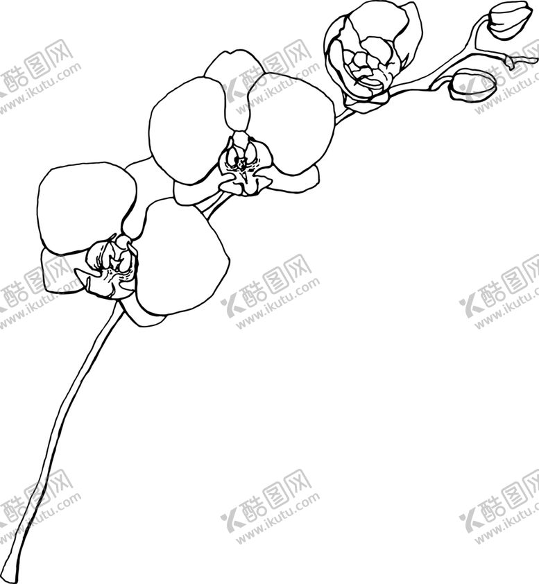 编号：43321809241221277306【酷图网】源文件下载-植物花朵装饰图案
