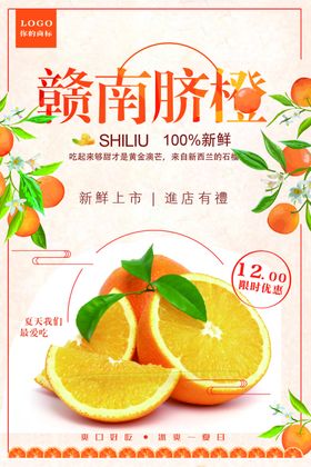 赣南脐橙海报