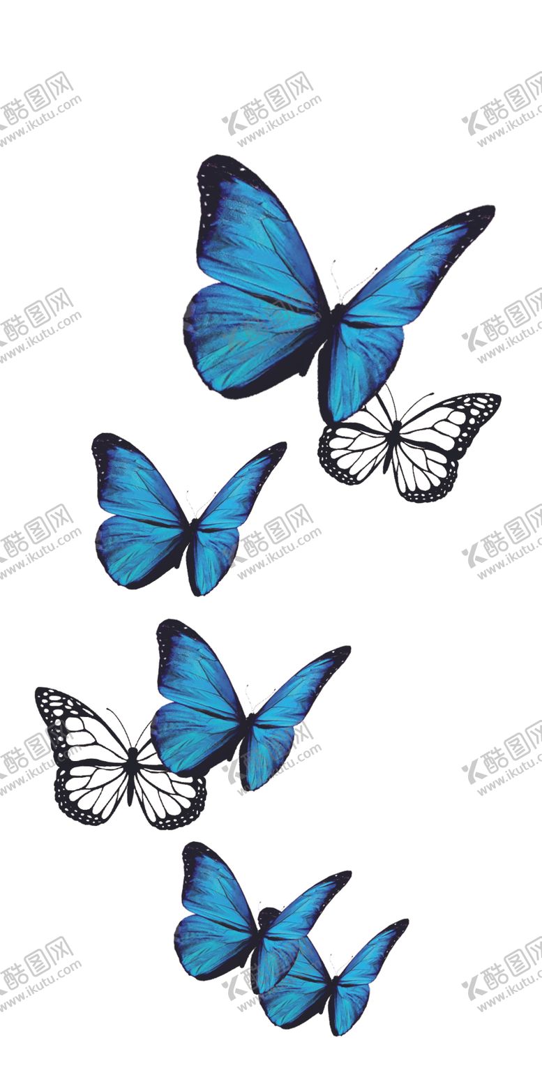 编号：72403002211631053329【酷图网】源文件下载-经典蝴蝶