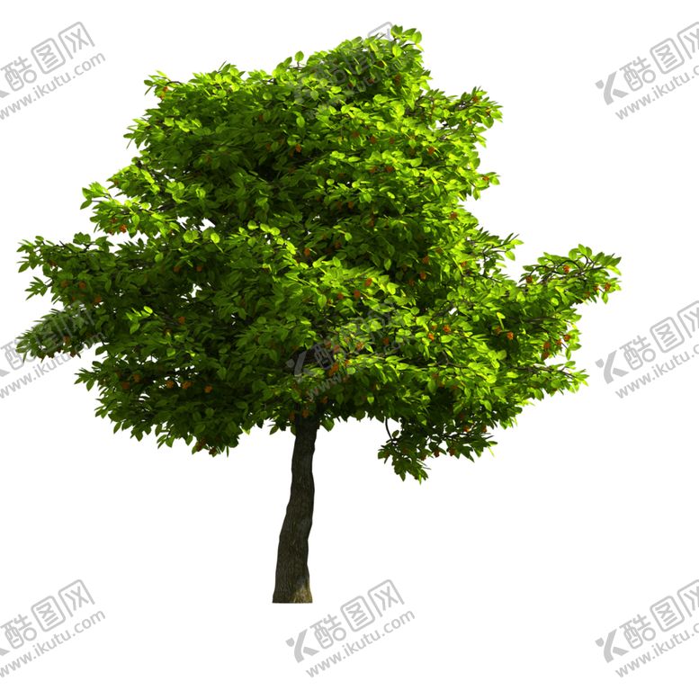 编号：71757910040059395690【酷图网】源文件下载-景观树