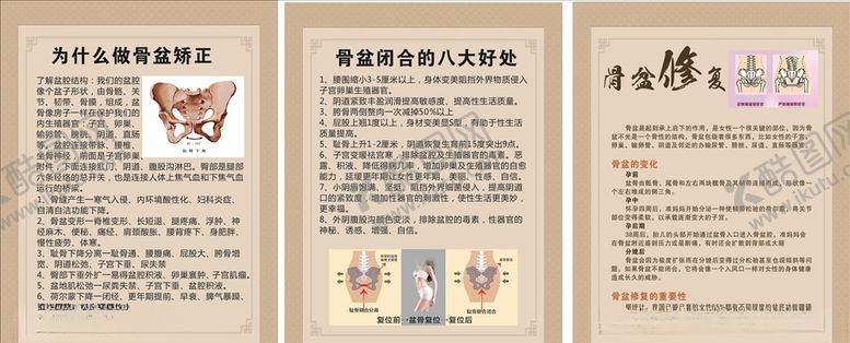 编号：87010607131752335976【酷图网】源文件下载-盆骨修复