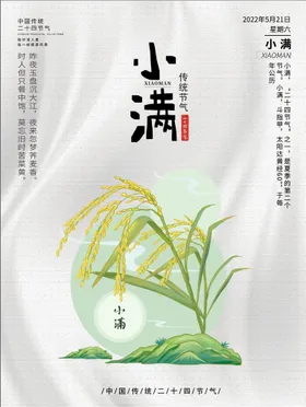 小满海报地产节气单图节气海报喝茶