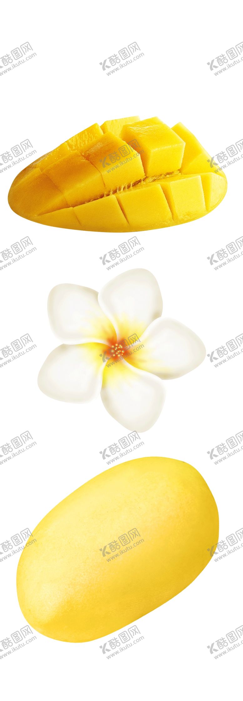 编号：79734004201504269305【酷图网】源文件下载-芒果新鲜芒果