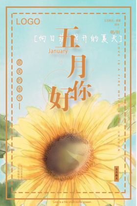 5月你好