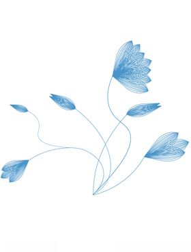 线性花