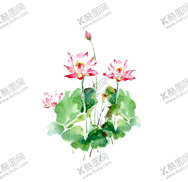 编号：64951006280654441984【酷图网】源文件下载-水墨风荷花图片